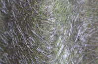 Herringswell fibreglass roof work